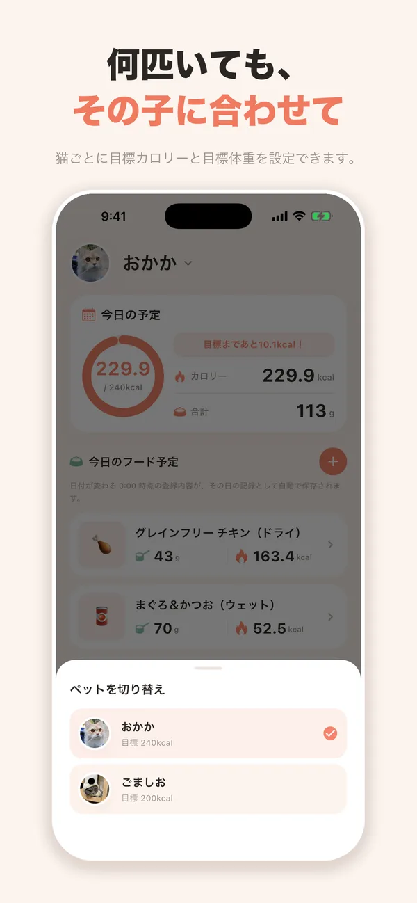 複数の猫を切り替える画面